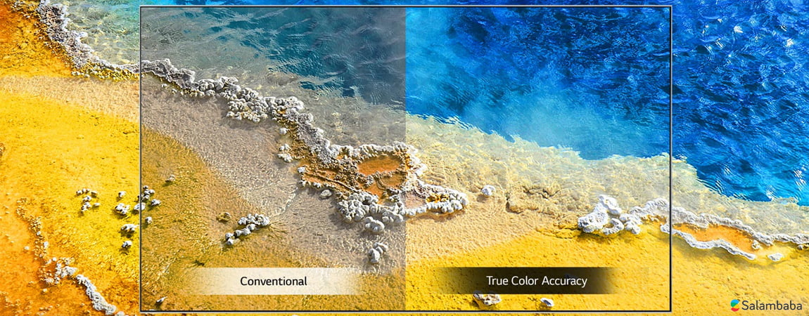 فناوری True Color Accuracy در تلویزیون ال جی UM7380